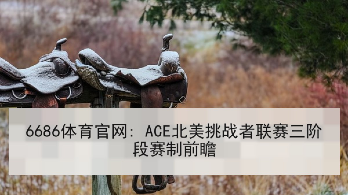 6686体育官网: ACE北美挑战者联赛三阶段赛制前瞻