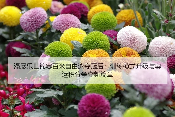 潘展乐世锦赛百米自由泳夺冠后：训练模式升级与奥运积分争夺新篇章