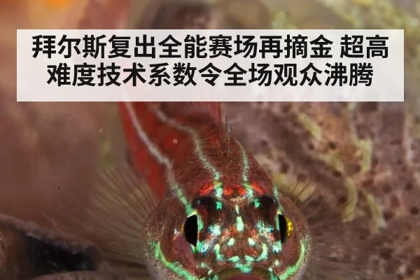 拜尔斯复出全能赛场再摘金 超高难度技术系数令全场观众沸腾